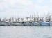 Port of Palacios