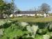 Gamrie Lodge