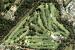 Sawtell Golf Club