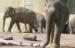 Tierpark Hellabrunn