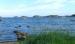 Cottage Mandal