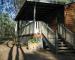 Olive Grove Cottages
