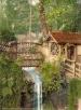 The Shanklin Chine