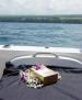 Ashes In Paradise