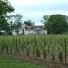 Riverbend Vineyards