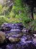 Waterfall Gardens