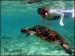 Scuba and Snorkelling
