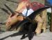 The Dinosaur Museum