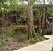 Bush Spa Cottage
