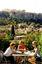 Plaka Dining