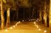 Events and Functions at the Billabong Sanctuary