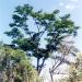 Finca Santa Rosa