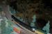 Walnut Creek Model Railroad Society