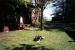 Foskett House Bed and Breakfast