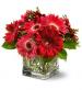Alexandria's Flowers
