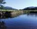Dolgellau Angling Association