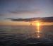 Alaska Midnight Sun Halibut Run