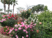 Dana Point Recreational Parks