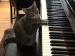 Jessica Teaches Piano