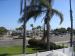 Dolphin Motel