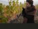 Anaba Wines Tasting Room