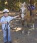 Hospitality Horseback Tours