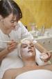The Wellness Spa