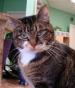 Crescent Falls Veterinary Hospital
