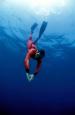 Diving at Pemba Beach Hotel and Spa