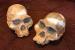 The Cradle of Humankind