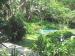 Treetops Lodge