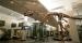 Origins Gallery