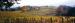 David Hill Winery