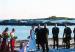 Goose Weddings
