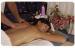 Wine and Roses Bed and Breakfast Packages