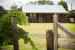 Pedler Cottage Bed and Breakfast