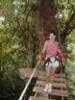 Canopy Adventurous Tour