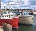 Misty Harbour Seafood