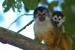 Corcovado National Park