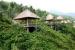 Guana Beach Resort