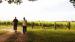 Church Road Winery