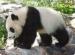 National Zoo