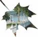 The Maple Tree Inn