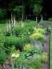 North Garden