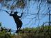 Cervia Adventure Park