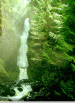 Rivers Edge Bed and Breakfast