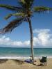 Coqui del Mar