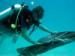 Sail Caribbean Divers