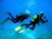 Van Dam Diving