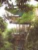 The Bamboo Treehouse